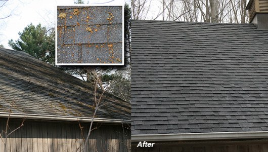 Photo of roof cleaning, removal of moss and lichen, Branford, CT